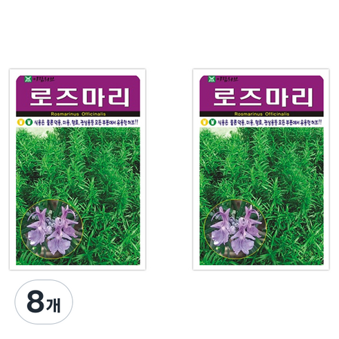 아람종묘 허브 로즈마리 씨앗, 8개