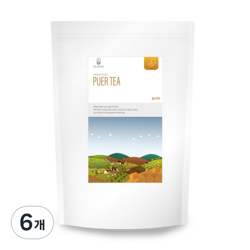 닥터루트 보이차 삼각티백, 1.2g, 100개입, 6개