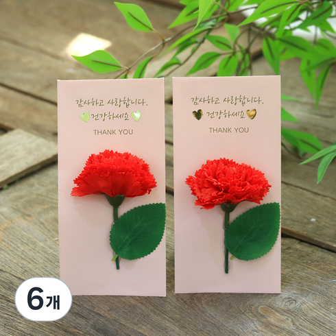 센트바스켓 조화 굿포유 카네이션 비누꽃 용돈봉투, 레드, 6개