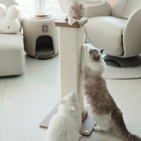 아토주 고양이 파우제 수직 스크래쳐, 아이보리, 1개