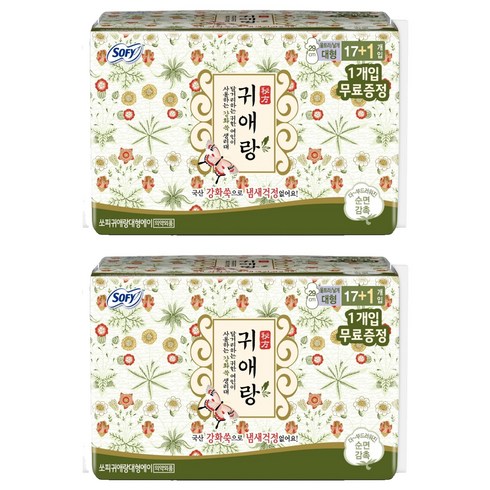귀애랑 바디피트 생리대 날개형, 대형, 18개입, 2개
