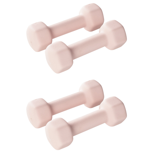 앳플리 LW 미용 아령, 2kg, 4개