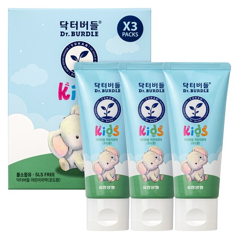 닥터버들 어린이 치약 포도향, 60g, 3개