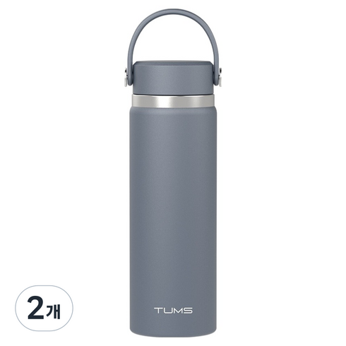 텀스 핸들 스윙 텀블러, 문라이트, 600ml, 2개