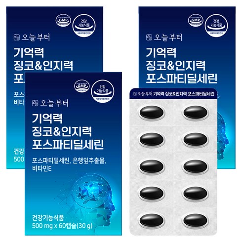 오늘부터 기억력 징코&인지력 포스파티딜세린, 60정, 3개