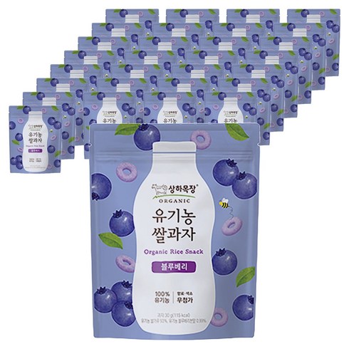 상하목장 유기농 쌀과자, 블루베리, 30g, 48개