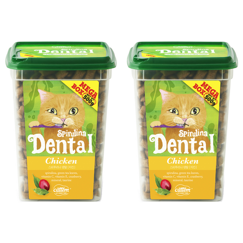 캣템 고양이 스피루리나 덴탈 간식, 치킨, 500g, 2개