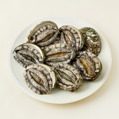 완도맘 산지직송 활전복 (냉장), 1kg 내외(왕특, 8마리), 1개