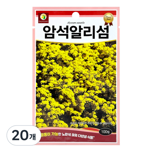 다농 암석알리섬 씨앗 100p, 20개