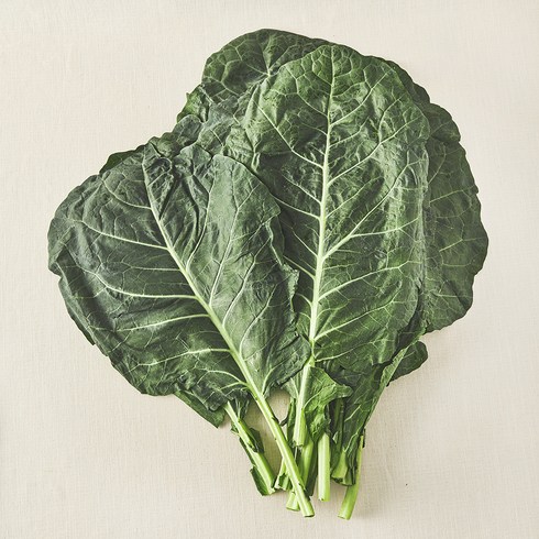 유기농 인증 녹즙용 케일, 1kg, 1개