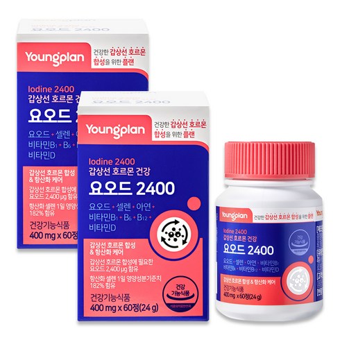 영플랜 요오드 2400 갑상선 호르몬 건강, 60정, 2개