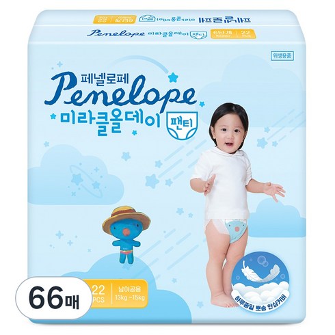 페넬로페 뉴 미라클 올데이 팬티형 기저귀 남녀공용, 6단계, 66매