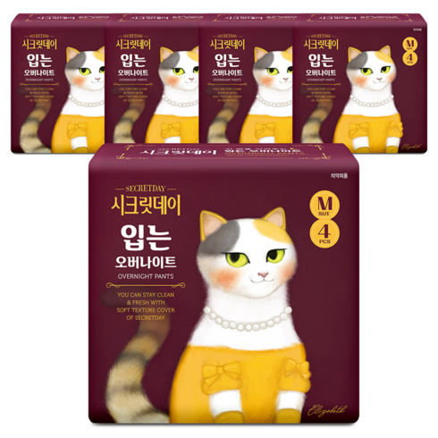 시크릿데이 하트 입는 오버나이트 팬티, 중형, 4개입, 5개