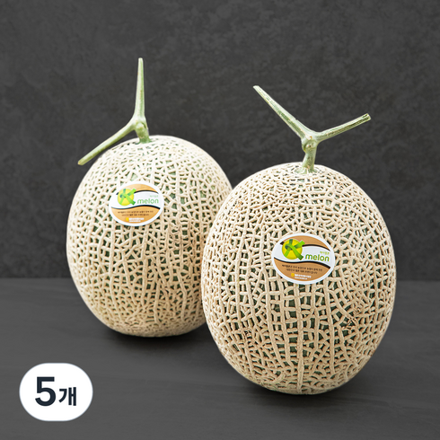 농협 고당도 머스크 멜론, 3.4kg(2입), 5개