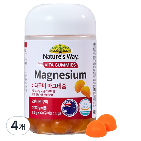네이처스웨이 비타구미 마그네슘 오렌지맛, 60정, 4개