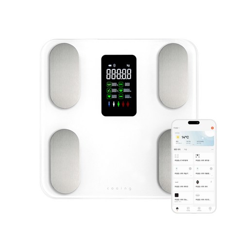 쿠잉전자 체성분 체중계, 화이트, 1개, SBF-B18WH