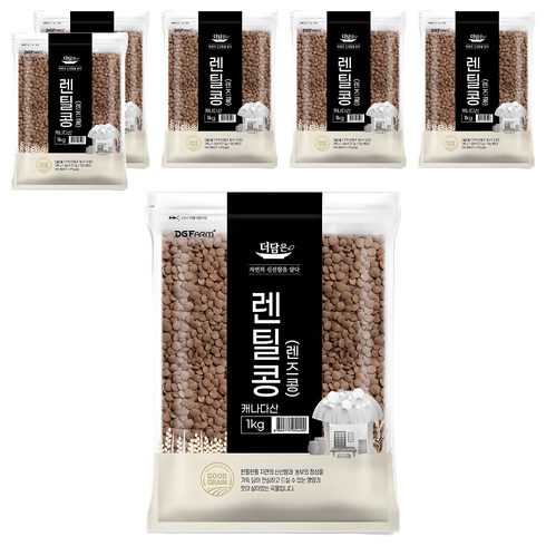 더담은 렌틸콩 렌즈콩, 1kg, 6개