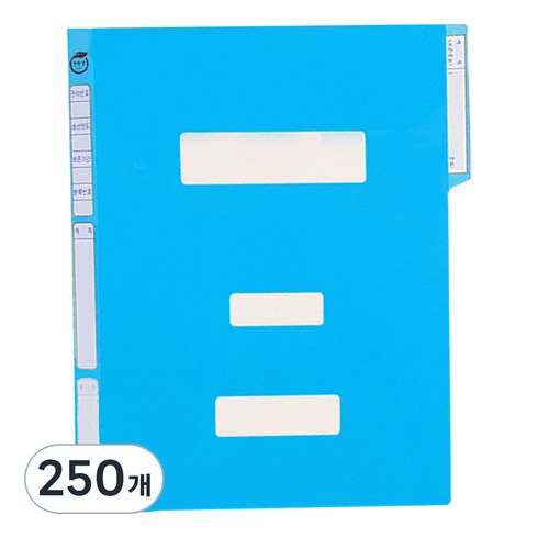 영오 친환경 정부화일, 청색, 250개