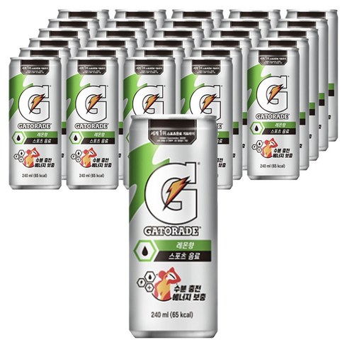게토레이, 240ml, 120개