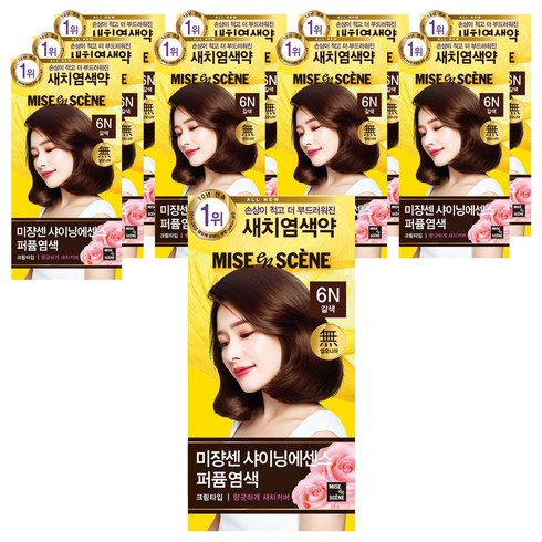 미쟝센 샤이닝 에센스 새치전용 염색제, 6N갈색, 10개