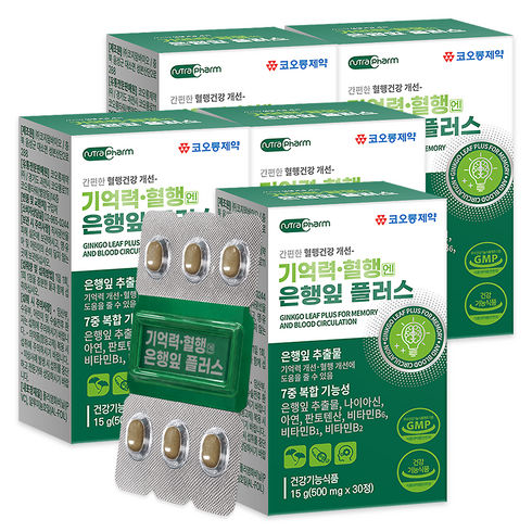 코오롱제약 기억력 혈행엔 은행잎 플러스, 30정, 5개