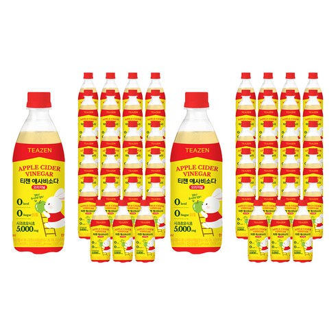 티젠 애사비소다 오리지널, 48개, 500ml
