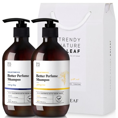 달리프 베러 퍼퓸 프리미엄 기프트 샴푸 2종 세트 일랑로즈 500ml + 레이니데이 500ml, 1세트