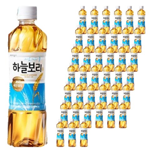 하늘보리, 500ml, 40개