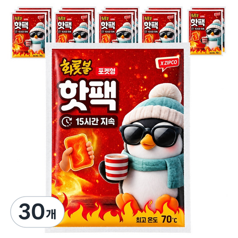 온종일화롯불 화롯불 포켓형 핫팩 100g, 30개