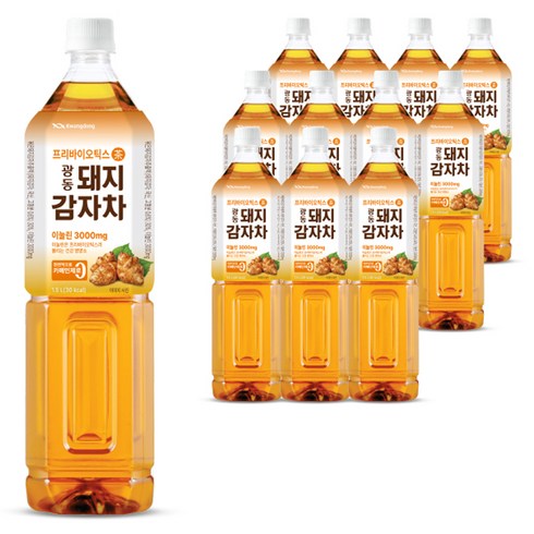 광동제약 돼지감자차, 1.5L, 12개
