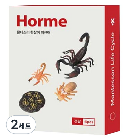 호르메 몬테소리 전갈 한살이 피규어 4종 세트, 2세트