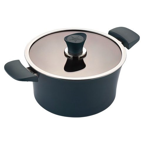 해피콜 인덕션 이든 곰솥냄비, 24cm, 스투키 그린, 1개