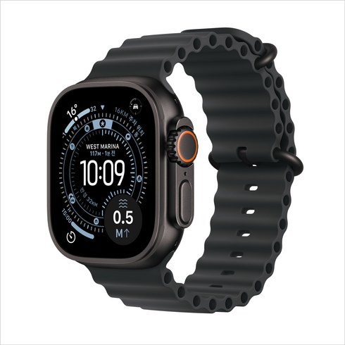 Apple 2025 애플워치 Ultra 3 오션밴드, 블랙, 49mm, GPS+Cellular