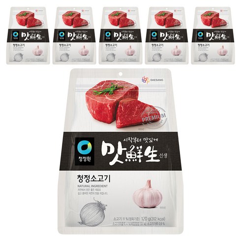 맛선생 청정 소고기, 120g, 6개
