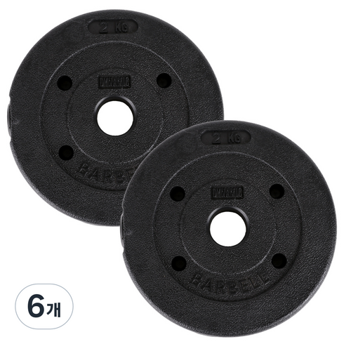 아리프 PVC 코팅 다이나믹 경량 바벨 원판 30mm용, 2kg, 6개, 블랙