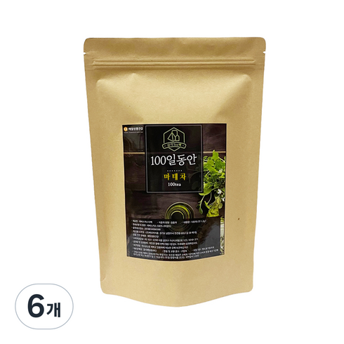 정앤정 100일동안 삼각티백 마테차, 1.2g, 100개입, 6개