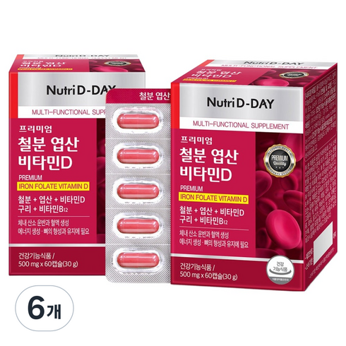 뉴트리디데이 프리미엄 철분 엽산 비타민D 30g, 60정, 6개