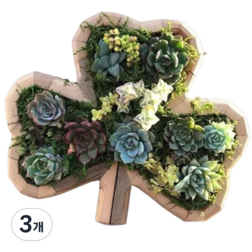 에브리스텝 다육이 동물 모양 화분 클로버, 3개