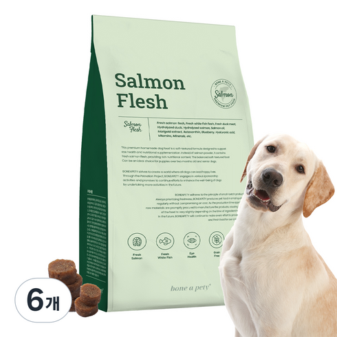 본아페티 플러스 강아지 기능성 스팀 수제사료, 연어, 1kg, 6개