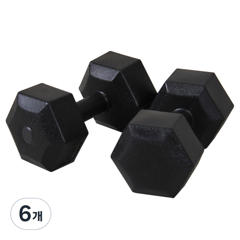 이고진 블랙육각 덤벨 아령, 3kg, 6개