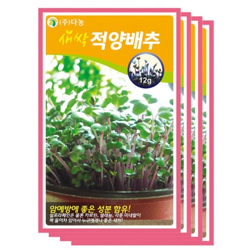다농 새싹적양배추씨앗, 1개