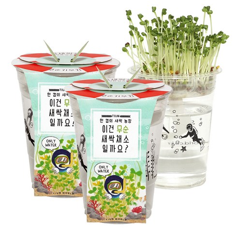 틔움세상 한컵새싹농장 텃밭가꾸기 2세트, 무순