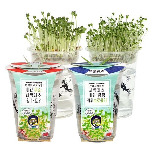 틔움세상 한컵새싹농장 새싹채소 키우기 세트, 무순 + 브로콜리