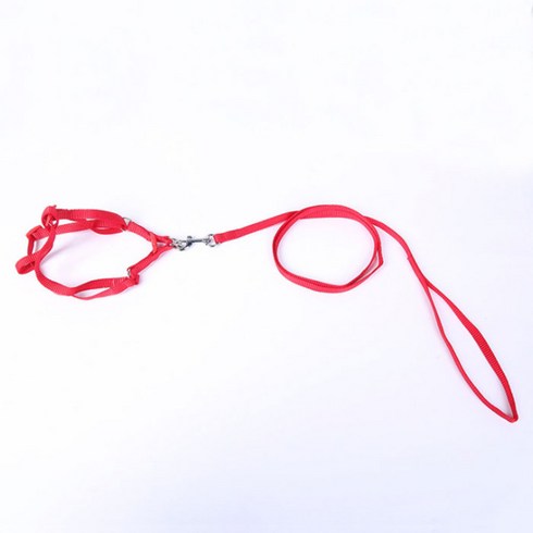 핑크망고 줄무늬컬러 반려동물 몸줄 2.5cm, C, 1개
