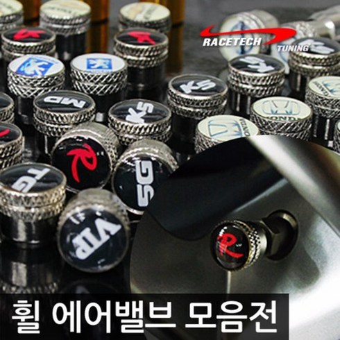 레이스텍 티몰 프리미엄 에어밸브, 싼타페DM, 1개