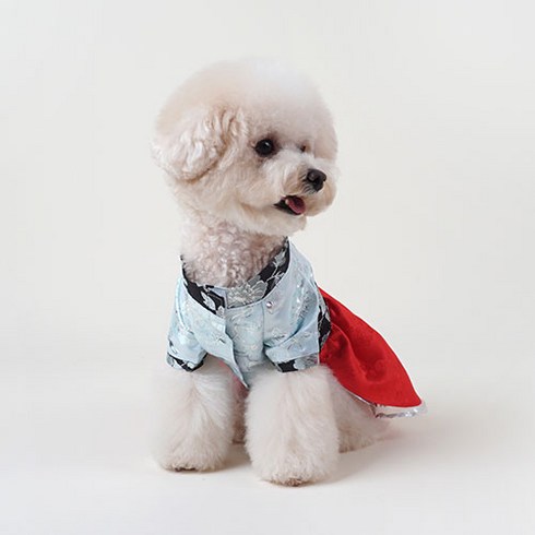 황진이 원피스 반려동물 한복, 혼합색상, 1개