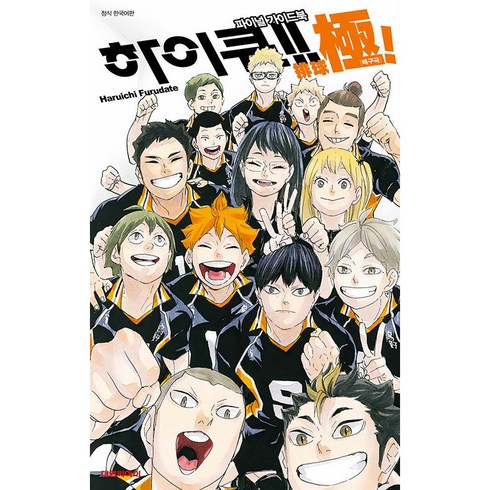 하이큐 파이널 가이드북 배구극:, Haruichi Furudate, 대원씨아이