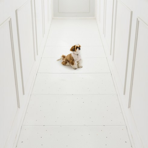 디팡 강아지 고양이 미끄럼방지매트 100폭, 테라조 화이트, 1개