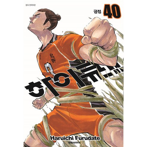 하이큐!! 40: 긍정, Haruichi Furudate, 대원씨아이