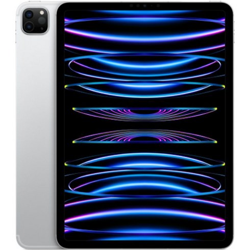 Apple 정품 2022 아이패드 프로 11 4세대 M2칩, 실버, 2TB, Wi-Fi